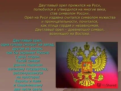 Законодательство стран европы