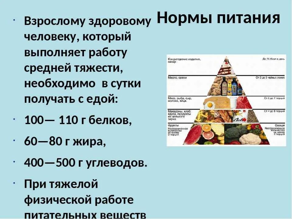 Составьте рацион питания среднестатистического россиянина. Нормы питания взрослого человека. Суточная норма питания. Питание нормального человека. Норма питания в день.