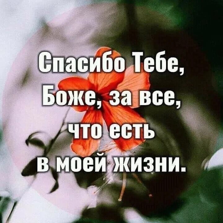 Спасибо господь что я такой аухенный. Спасибо тебе Боже. Благодарю тебя Боже. Спасибо за всё что есть у меня Бог. Спасибо Богу за все что у меня есть.