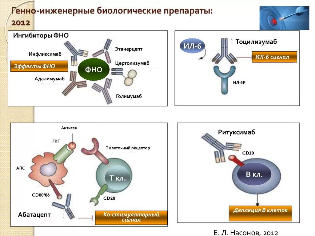 Генно Инженерная терапия ревматоидного артрита препараты. Генно- инженерные биологические препараты ингибиторы ФНО- Альфа. Механизм действия генно-инженерных биологических препаратов. Генно инженерные препараты механизм действия. Генно инженерные препараты ревматоидный артрит