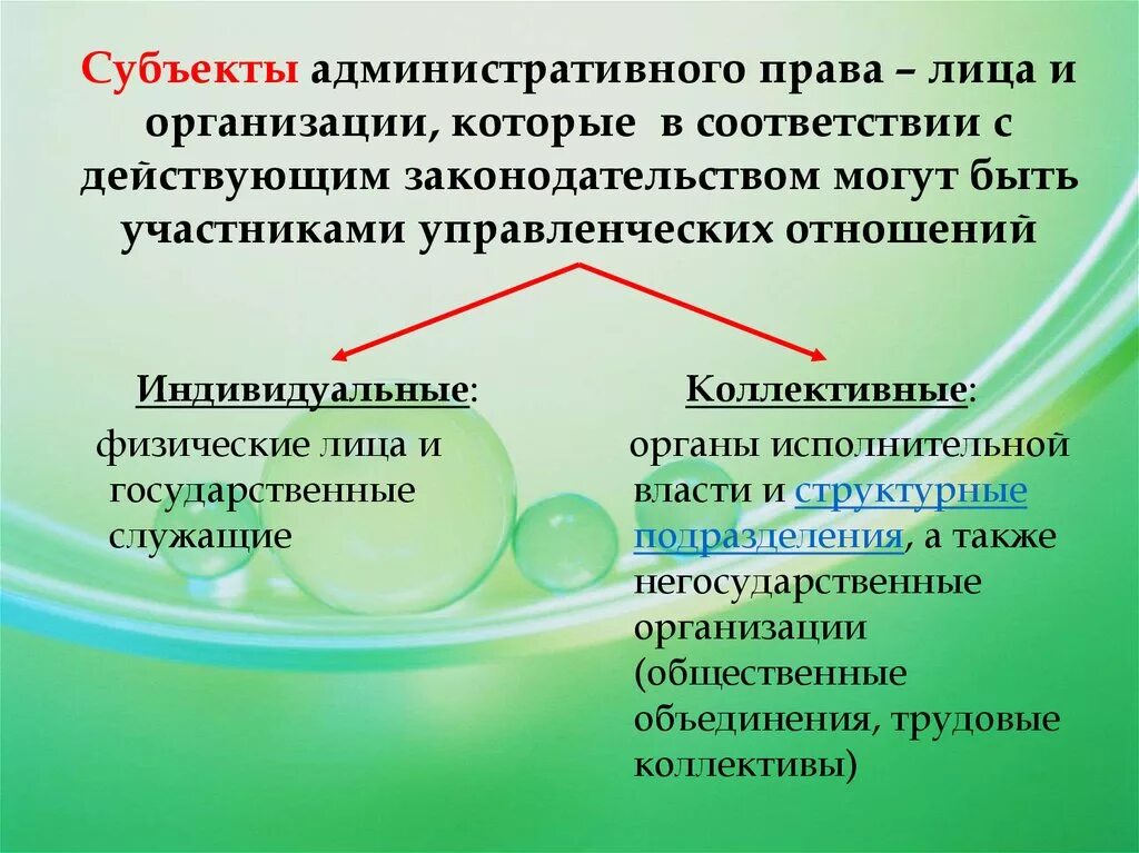 Исполнитель является субъектом. Субъекты администратвнго право.