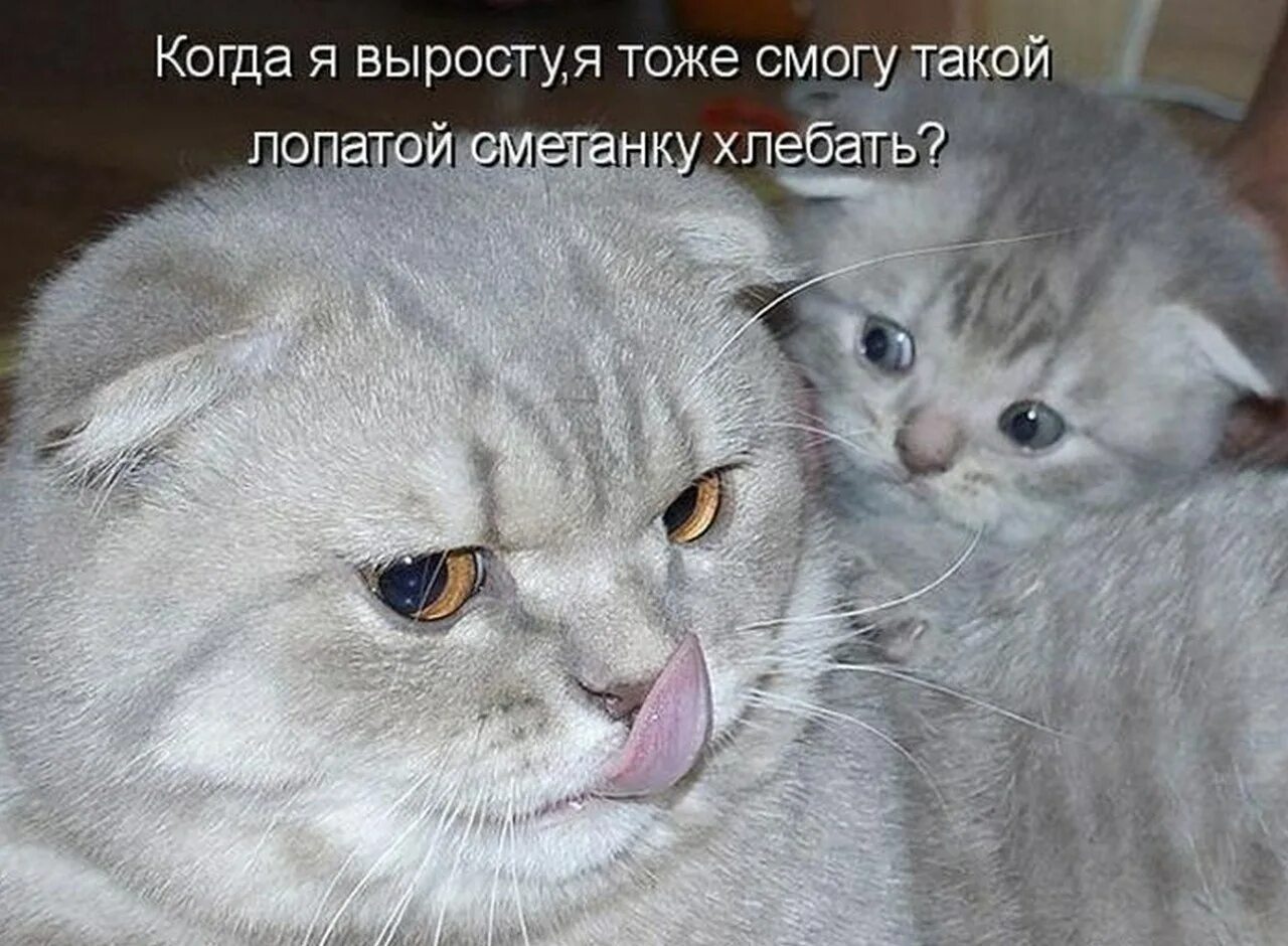 Тогда давай вот эту