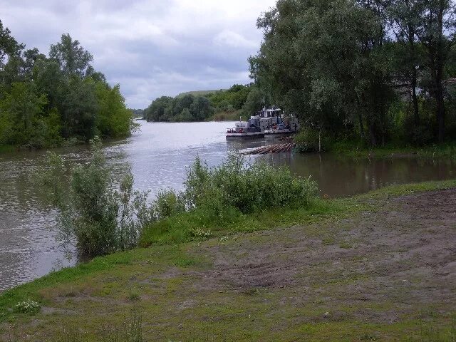 Красноярка алтайский край усть пристанский. Село Усть Пристань Алтайский край. Усть-Чарышская Пристань Алтайский. Село Усть-Чарышская Пристань Алтайский край. Алтайский край Усть-Пристанский район село Усть Чарыш.