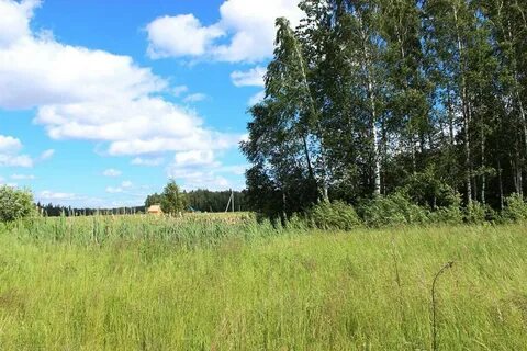 Рождествено дмитровский