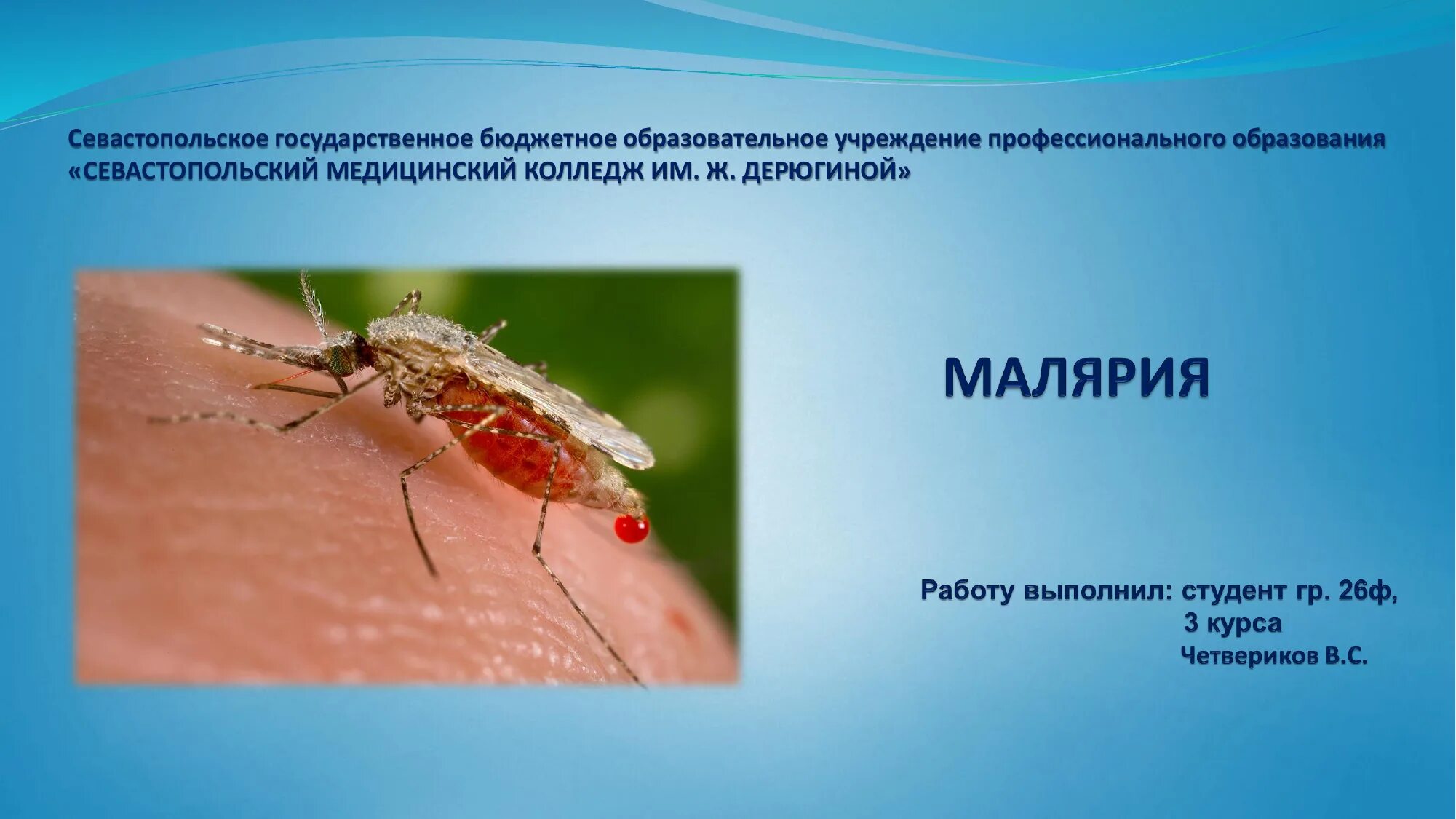 Значение малярии. Трансмиссивные инфекционные болезни малярия. Малярийный комар симптомы. Заболевания вызванные простейшими малярия. Малярия симптомы и профилактика.