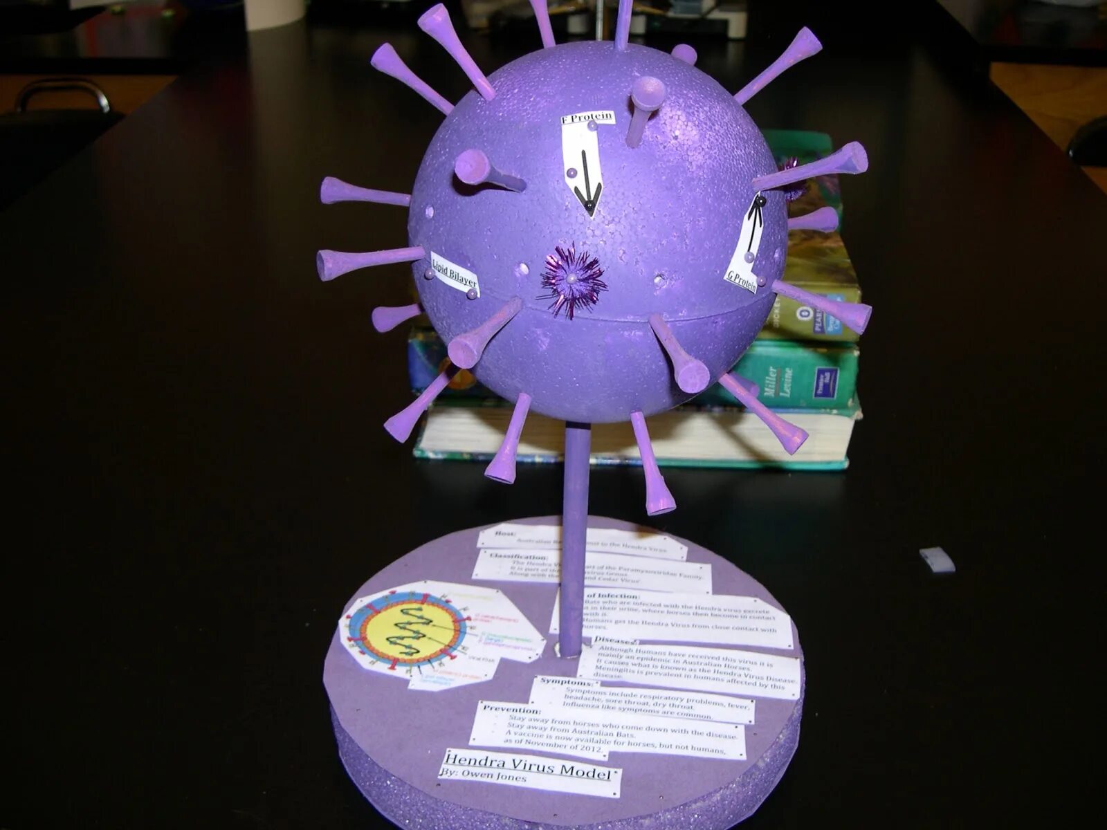 вирус из бумаги своими руками. оригами бактериофаг. поделка коронавирус из бумаги. макет вируса. муляж вируса.