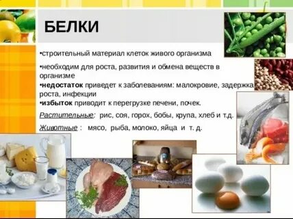 Строительный материал клеток и тканей