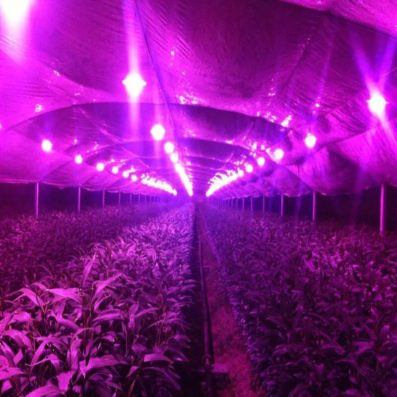 Led grow Lights 300 Watt спектр света. Светодиодная фито матрица для растений 50w 220v. Фитолампа для растений 30w 500 led. Фитолампа 10 ватт для растений. Led полный спектр
