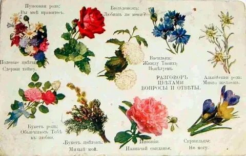 Книга со значениями цветов