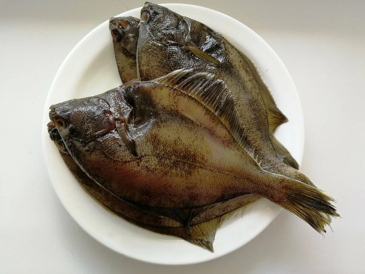 Похожая на камбалу. Желтобрюхая камбала жареная. камбала желтоперая. камбала рыба жареная. рыба похожая на камбалу.