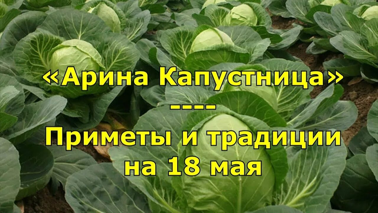 Приметы на 18 мая 2025. Приметы на 18 мая 2025