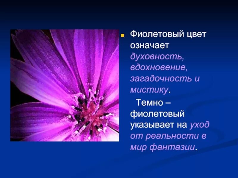 Фиолетовый цвет в психологии. Лиловый цвет в психологии. Фиолетовый цветтозначает. Фиолетвыйцвет в психологии.