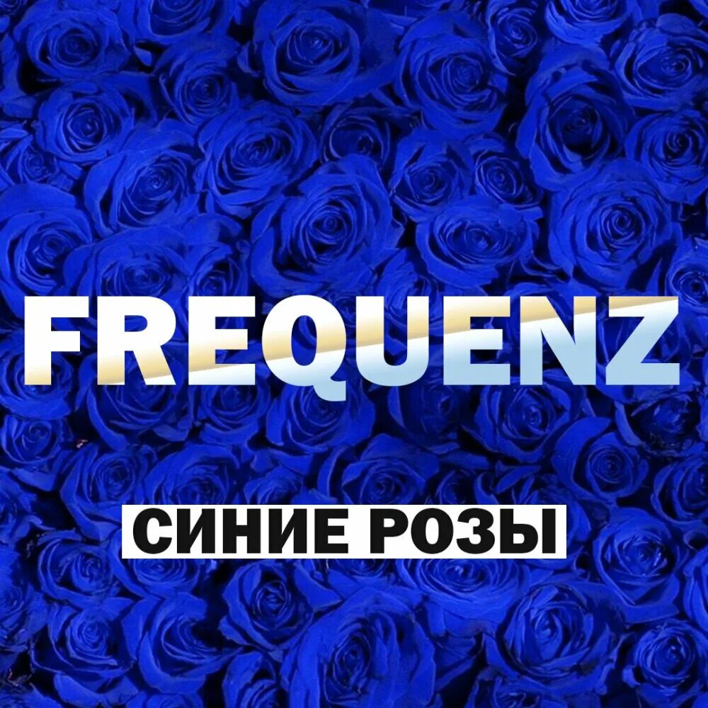 Розочка слушать. Frequenz синие розы. Frequenz группа. Синяя обложка. Frequenz - синие розы обложка.