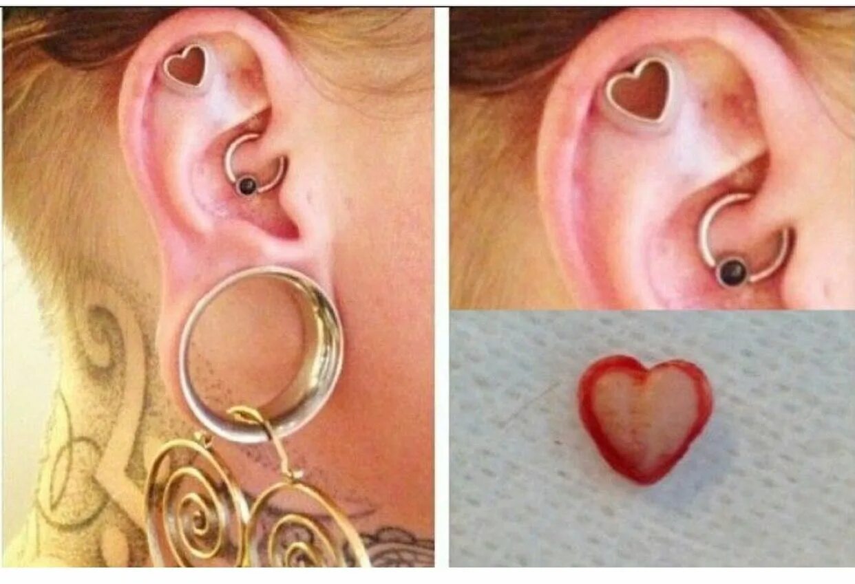 Heart Nose Stud Nose Ring Tragus Cartiliage Helix Infinity 14K Etsy