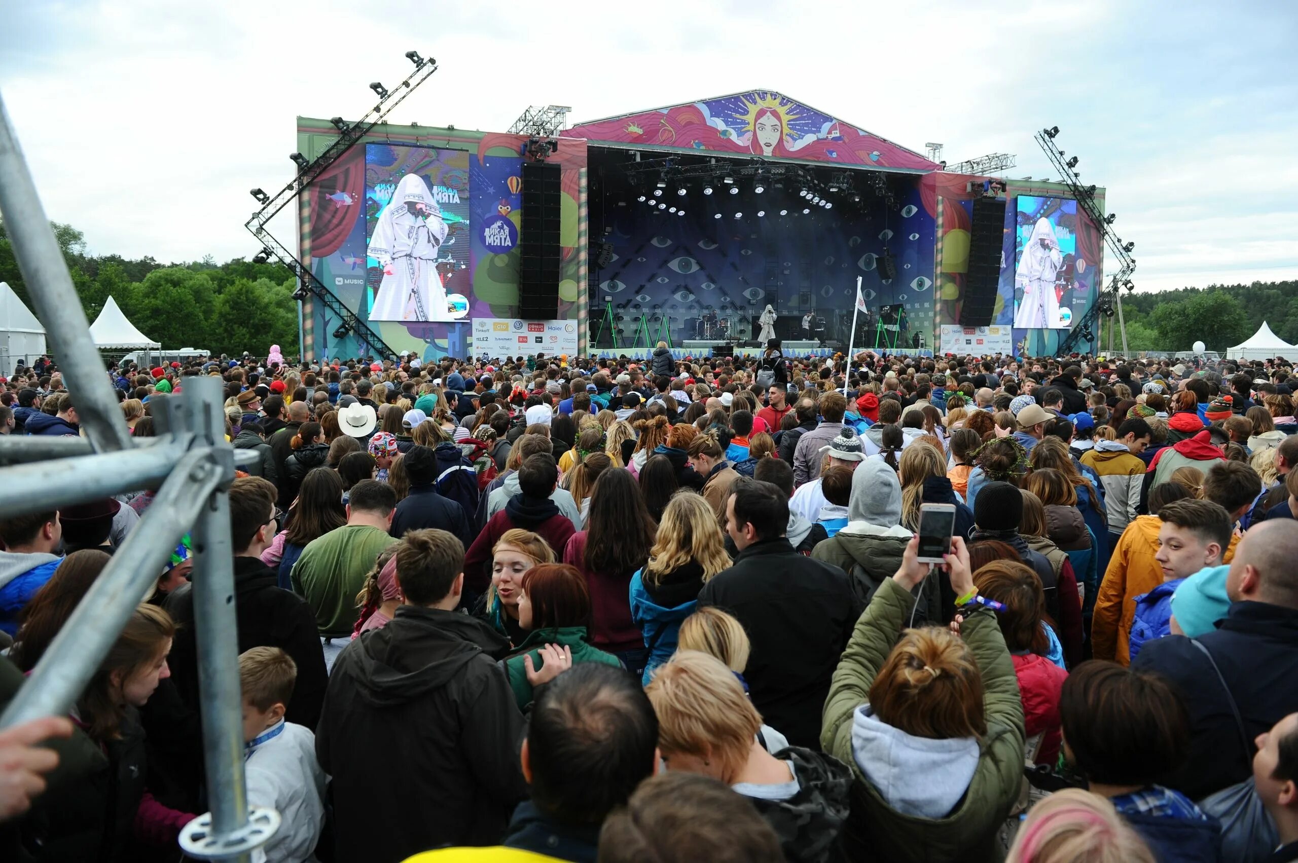 Дикая мята сцена. Дикая мята 2019. Дикая мята 2021 группа кино. Дикая мята в тульской области. Фестиваль дикая мята сцена.