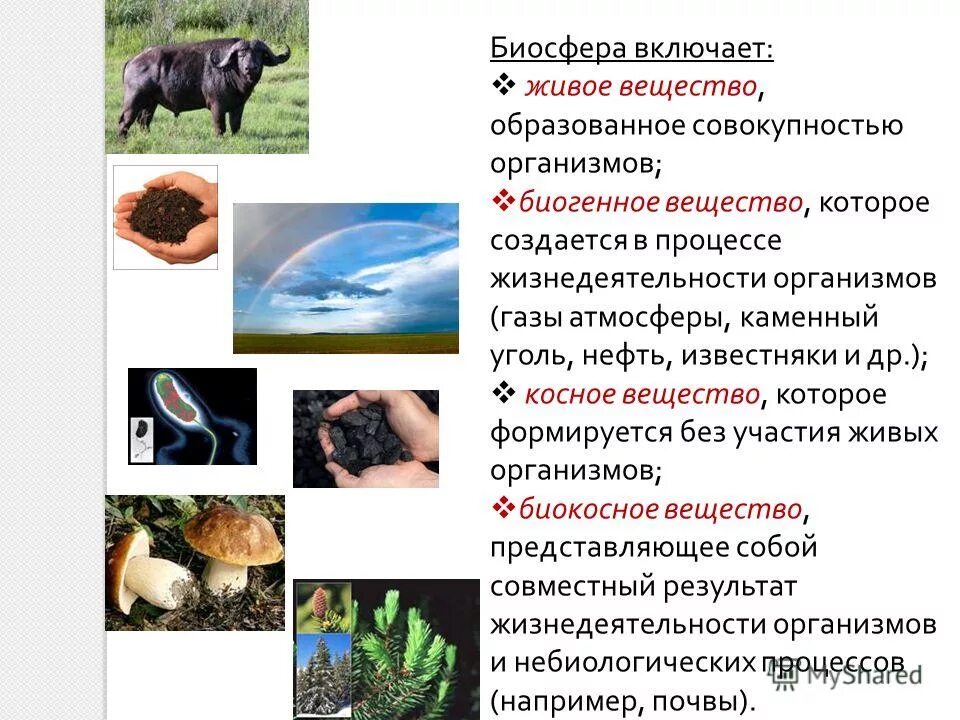 Биосфера это в философии. Определите понятие биосфера:. Биосфера понятие биосферы. Дайте определение понятию биосфера. Определите понятие биосфера:.