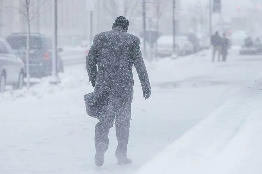 Снег по колено. Снег по колено фото. В снегах крайнего Юга. Сугробы по колено