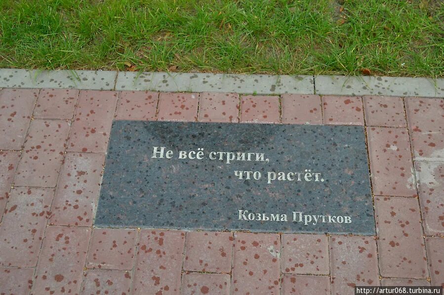 Козьма прутков хочешь быть. Афоризмы козьмы пруткова. козьма прутков афоризмы. крылатые фразы козьмы пруткова. козьма прутков цитаты.