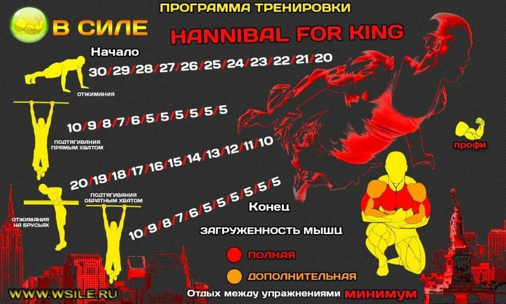 Программа тренировки 45