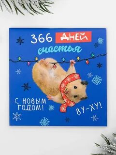 366 дней
