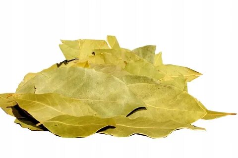 Leaves отзывы