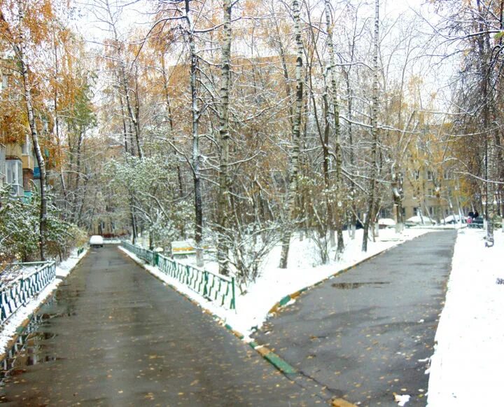 Погода в нерюнгри на 10 дней. Прогноз люберцы. Климат люберцы. Погода в великом новгороде на неделю. Самый точный сайт погоды.