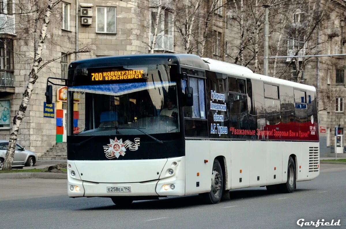 Новокузнецк новосибирск автобус купить. МАЗ 231.062. 700 Новокузнецк Красноярск. ПАТП 1 Новокузнецк. Красноярск Новокузнецк автобус.