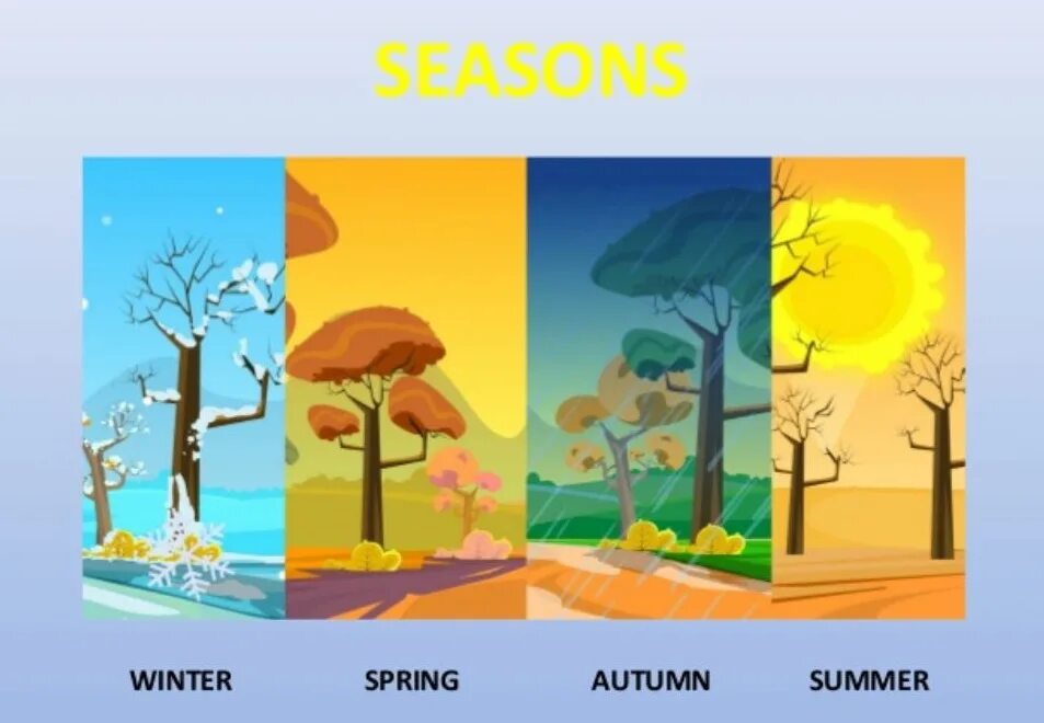 Seasons of the year spring. Времена года иллюстрации. Изображения времен года для детей. Картинки по временам года.