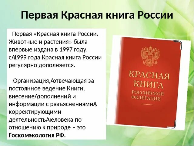 Красная книга. Презентация по красной книге. Проект красная книга. Проект красная книга России. Доклад о красной книге 2 класс