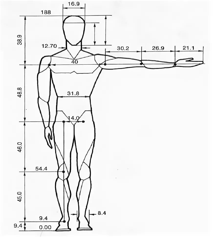 Human size. Эргономические фигуры человека вид сверху. Human Dimensions. Average рисунок человека. Рост человека в масштабе.