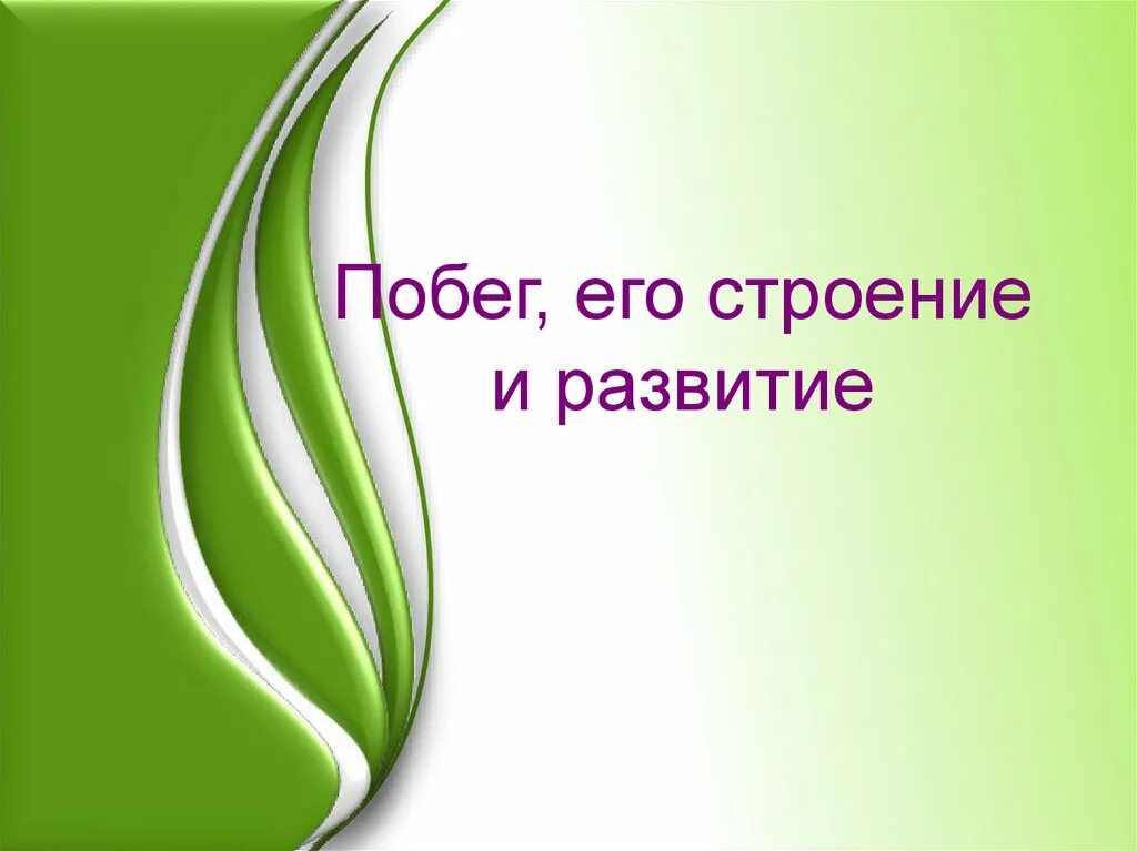 Побег его строение и развитие. Презентация побег. побег 6 класс. побег биология презентация.