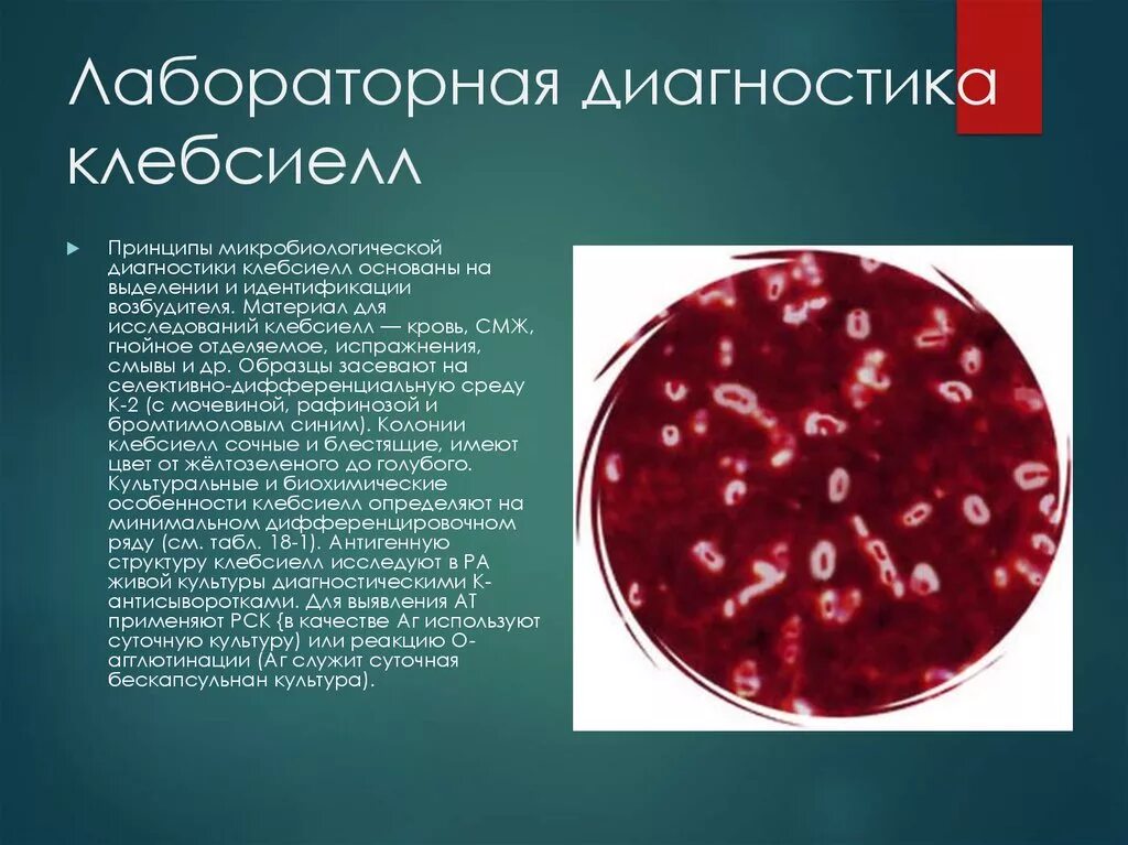 Чем лечить клебсиеллу