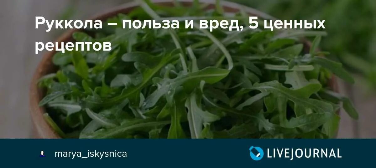 Руккола салат польза для женщин. Рукола капустные. Рукола полезные. Трава рукола полезные и вредные. Рукола полезные и вредные.