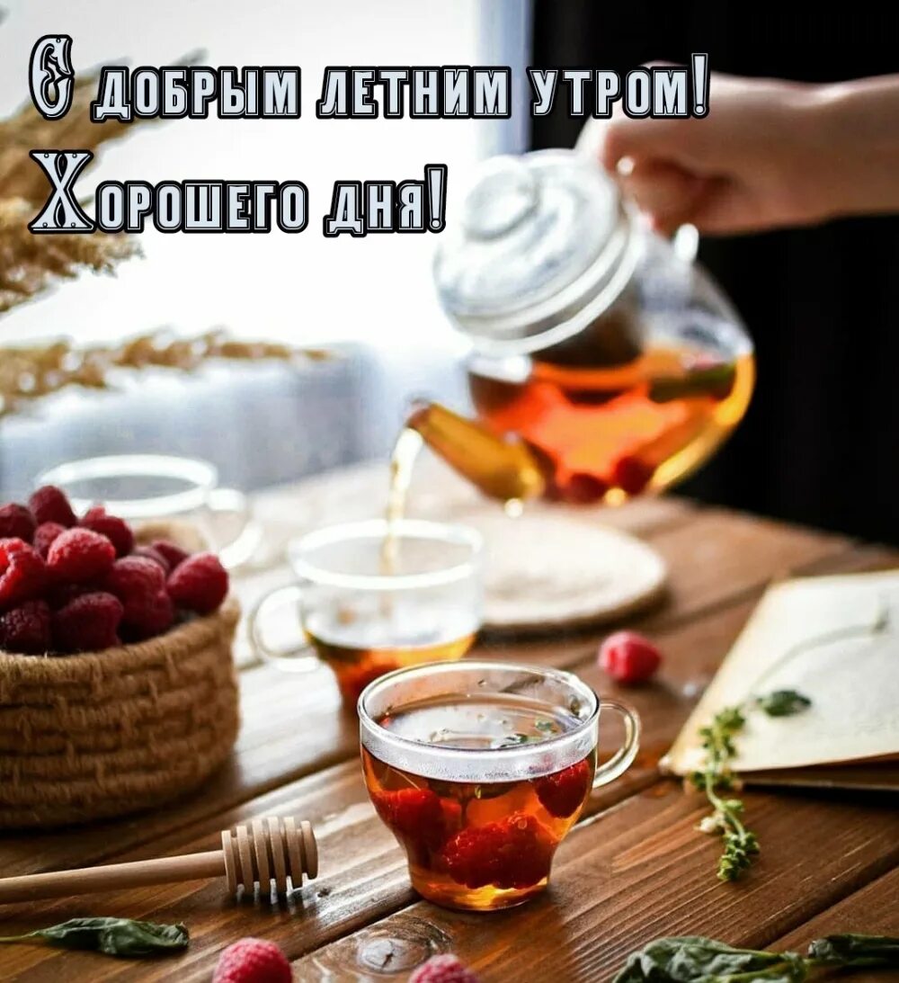 Веселого утра и дня. Веселые картинки с добрым утром. Задорного утра. Добрые рисунки. Всем доброго утра и удачного дня картинки.