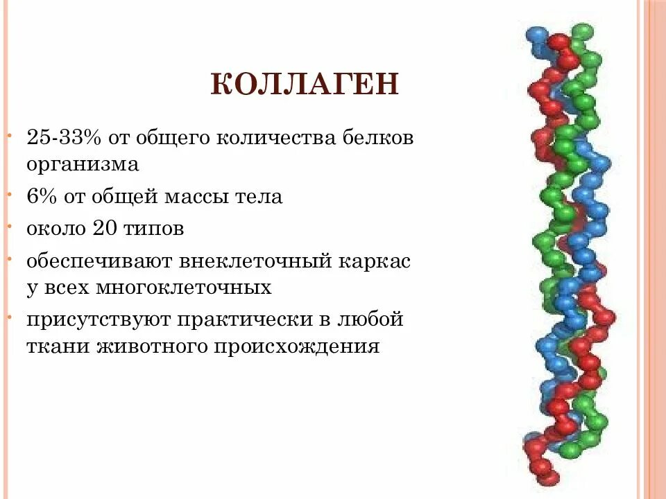 Коллаген структура белка биохимия. Строение эластина биохимия. Первичная структура коллагена биохимия. Коллаген строение.