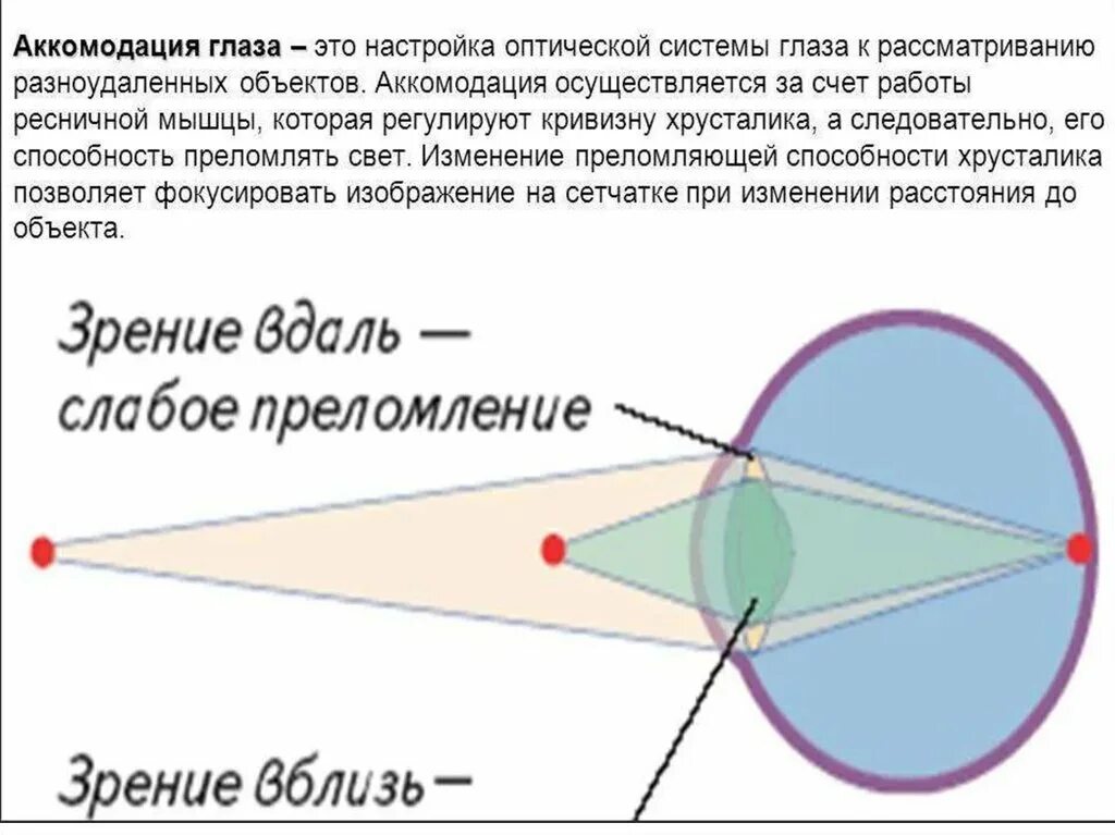 На каком расстоянии фокусируется глаз
