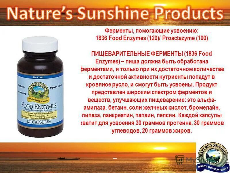 Чем помогают ферменты. Ферменты НСП. Пищеварительные ферменты NSP. Nature's Sunshine products (NSP) пищеварительные ферменты НСП БАД food Enzymes NSP. Пищеварительные ферменты НСП состав.