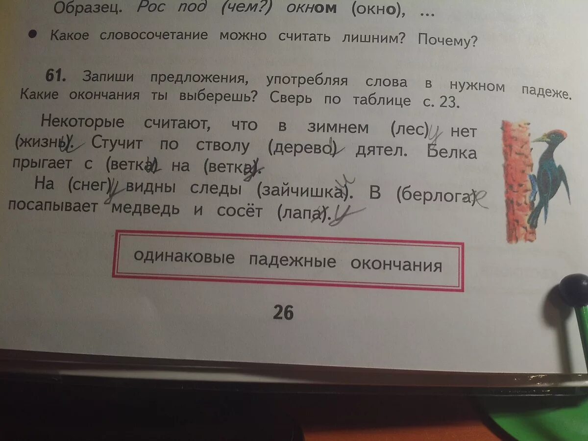 Падеж слова пила. Некоторые считают что в зимнем лесу нет жизни.