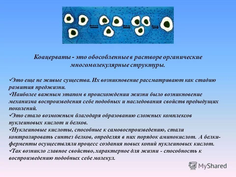 Коацерваты обладали свойствами живого потому что