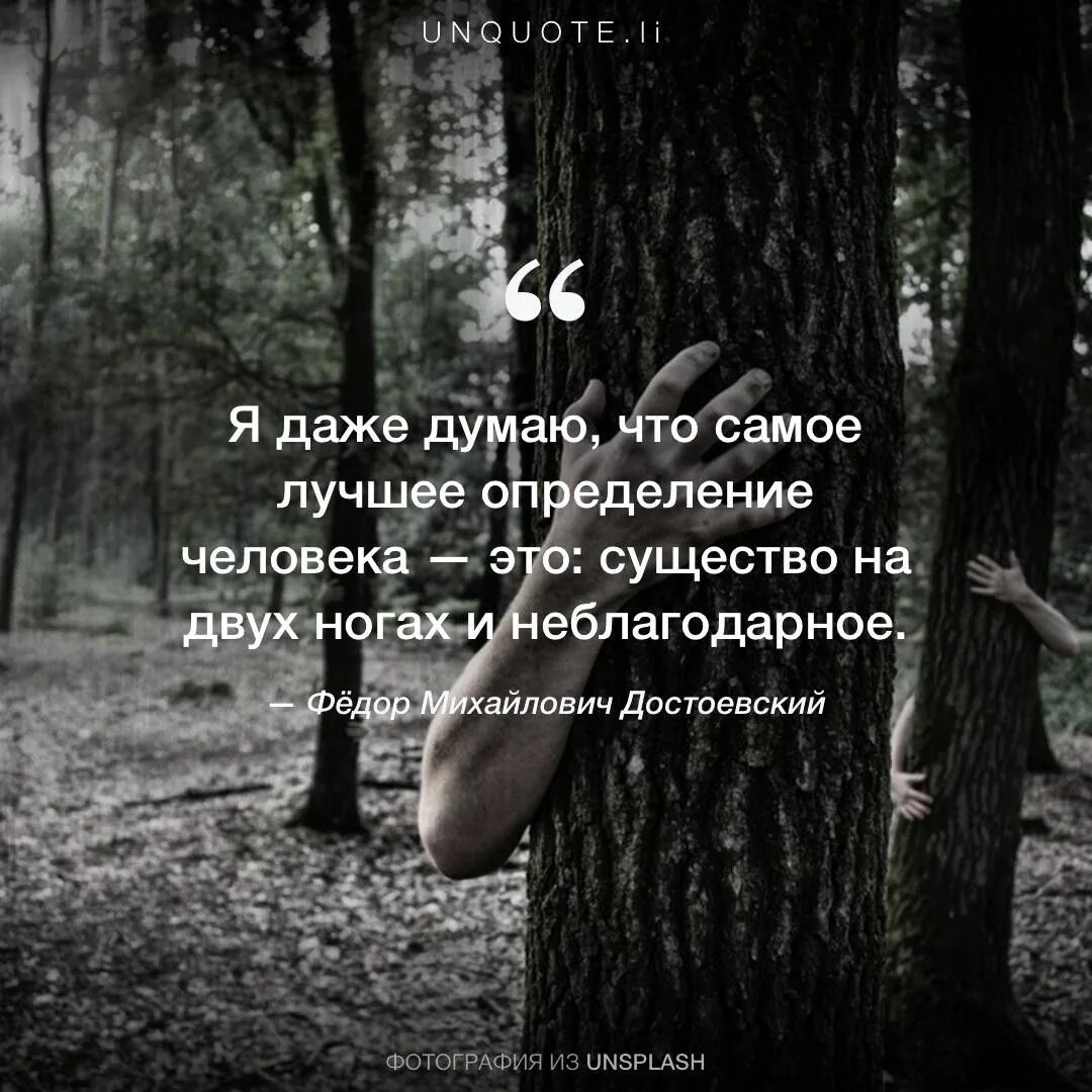 Тварь определив
