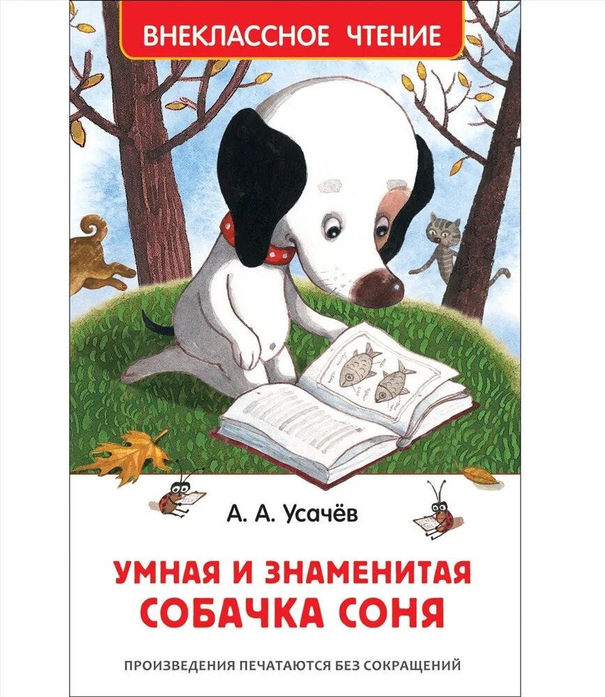 Книга про соню