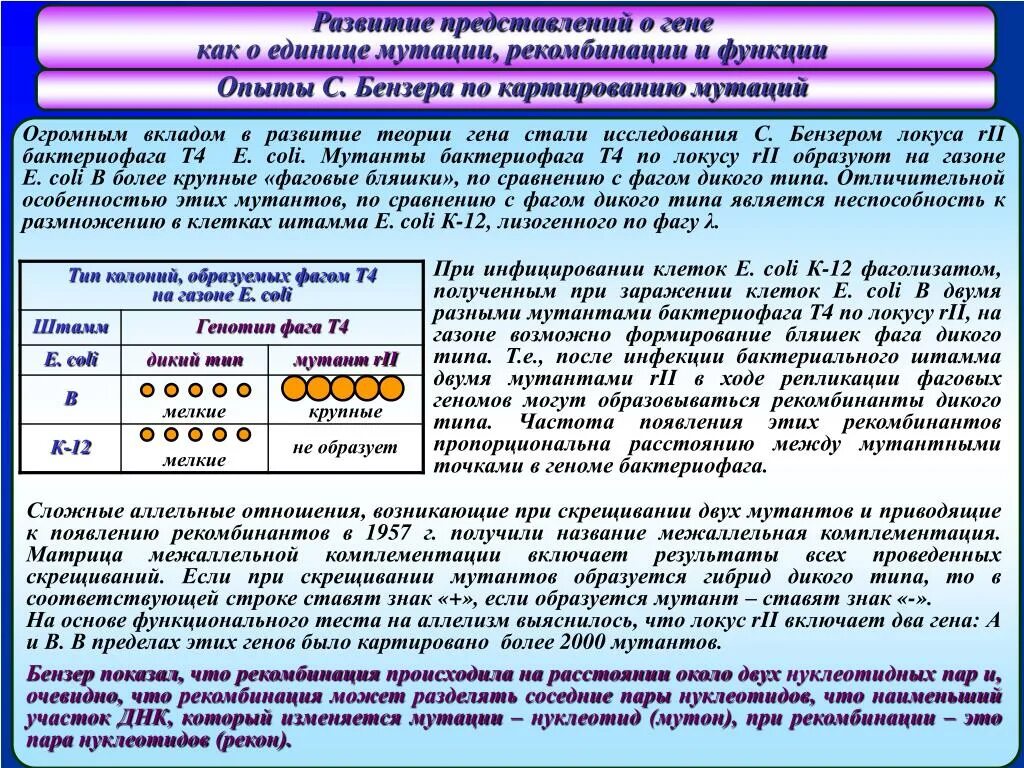 Комплементация это. Опыты бензера по картированию мутаций. Эволюция представлений о гене. Классические представления о гене. Межаллельная комплементация.