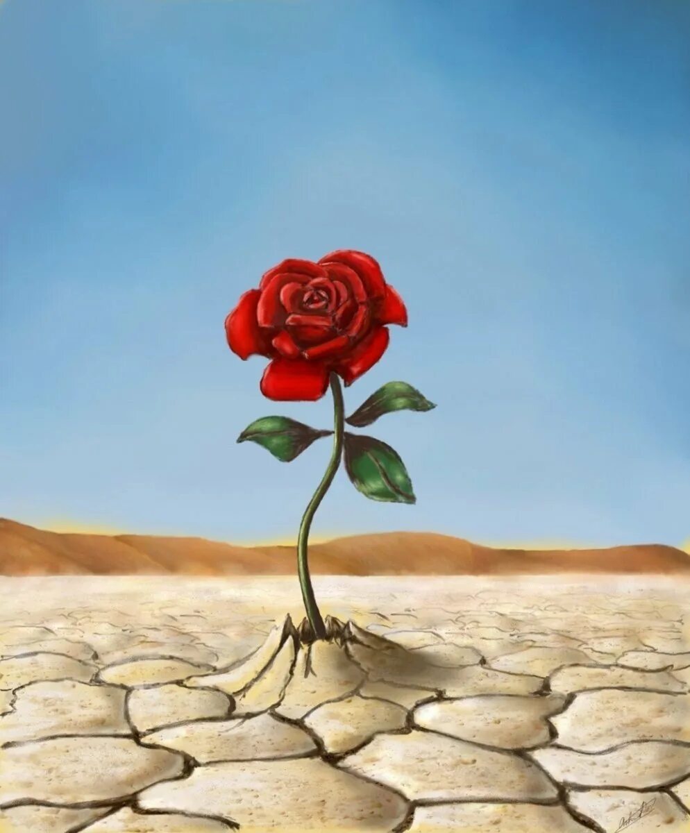 Цветок на земле жанр. Одинокий цветок. Одинокий цветочек. Одинокий цветок в пустыне.