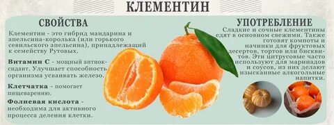 Клементин описание