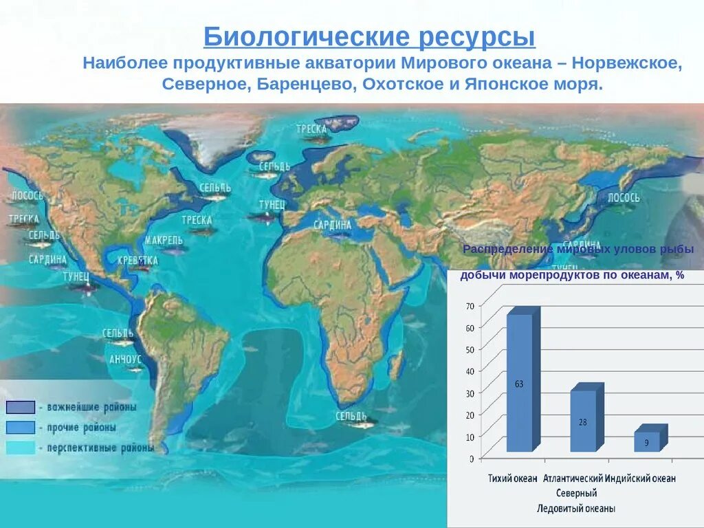 Большая часть организмов в мировом океане сосредоточены. Биологические ресурсы мирового океана карта. Ресурсы мирового океана таблица 10 класс география. Энергетические ресурсы мирового океана карта. Продуктивные акватории мирового океана.