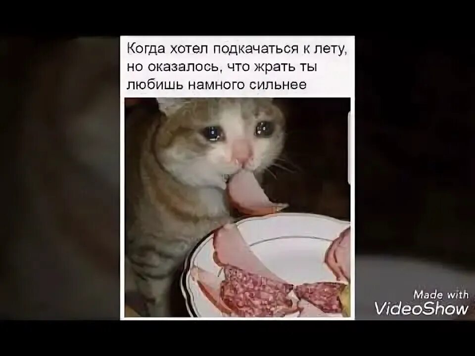 И вкусно и грустно. Вкусно и грустно кот. Кот плачет и кушает. Грустный кот с колбасой. Плачущий кот с колбасой.
