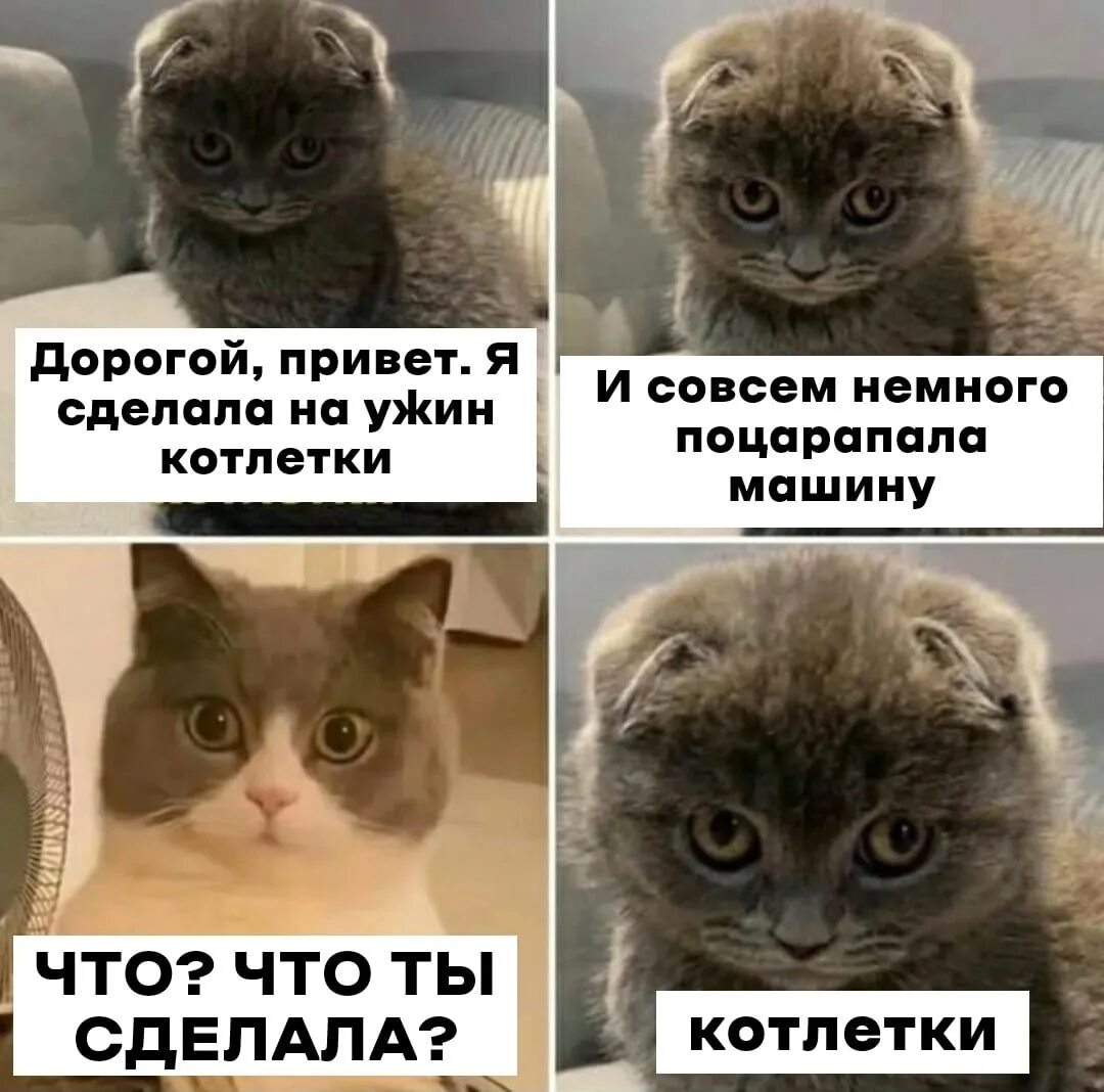 Самый лучший мем 2025. Самый лучший мем 2025