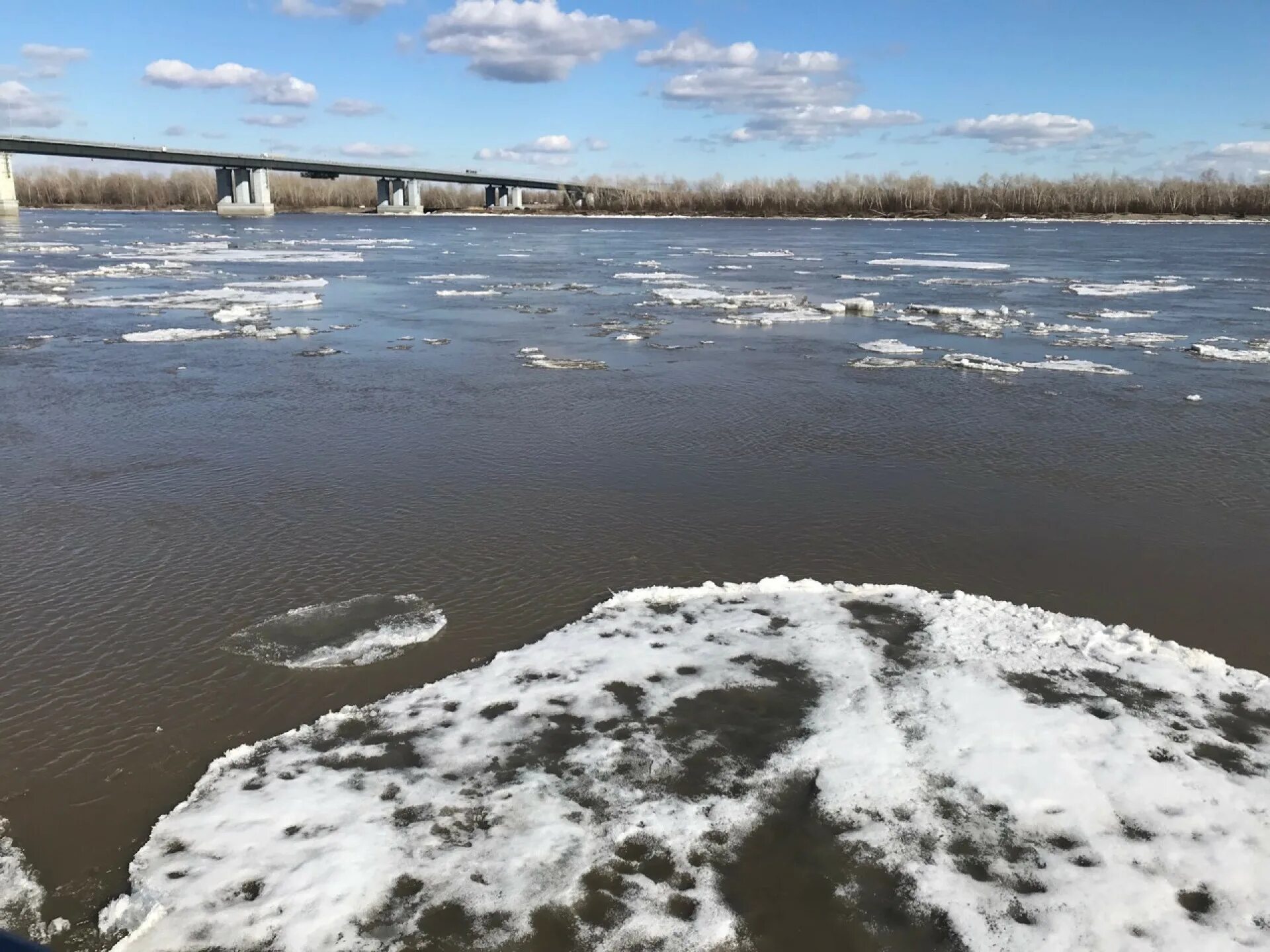 Уровень воды в реках алтайского края сегодня. Ледоход в Барнауле 2022. Селенга ледоход. Ледоход на Оби. Ледоход на Катуни.