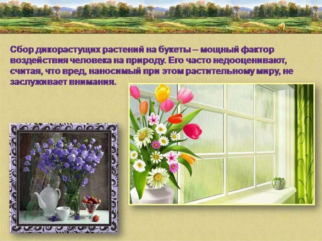 Сад содержащий коллекции охраняемых растений. Охрана растений. охрана растений презентация. охрана цветов. презентация по теме охрана растений.