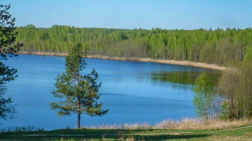 Озеро светлояр какой город. Озеро Светлояр. Светлояр Нижегородская область. Озеро Светлояр Нижегородская область Легенда. Село Владимирское озеро Светлояр.